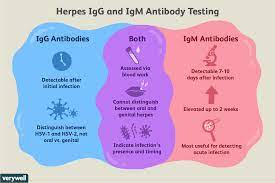 There are two main types of hsv: Herpes Igg Test Uses Side Effects Procedure Results