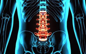 Before we get down to business, here are the top 8 common backbone.js developer mistakes that you should avoid. Spinal Cord Injury Levels And Types Shepherd Center Rehabilitation