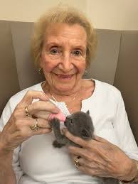 We are super excited to share our new partnership with Addington Place of  Titusville! They are fostering two bottle baby kittens for us and we were  able to go visit today. What