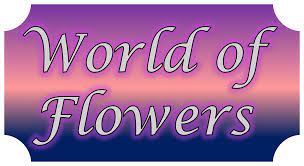 World of flowers meridian ms. Meridian Florist Flower Delivery By World Of Flowers Gift