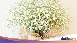 Biasanya bunga yang digunakan untuk dekorasi pernikahan merupakan bunga kesayangan. Calon Pengantin Perlu Tahu Makna Makna Bunga Di Acara Pernikahan