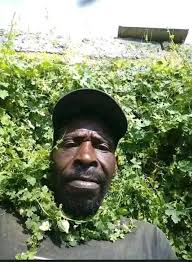 Bushe umuntu ngakweba complement of the season kwasuka shani👀