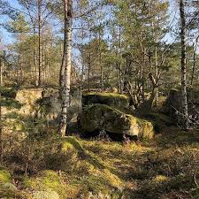Abris De La Prehistoire De La Foret De Fontainebleau Foret Green Forest Plants Nature Tree