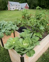 Maybe you would like to learn more about one of these? Grow More Edibles With Smart Sustainable Keyhole Gardening Prince William Living