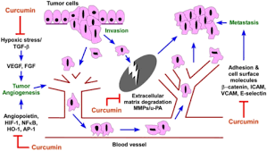 Now some research suggests that curcumin may help prevent or treat cancer. Clinical Effects Of Curcumin In Enhancing Cancer Therapy A Systematic Review Bmc Cancer Full Text