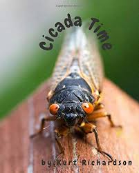 New forest cicada (cicadetta montana) (ukbap.org.uk) a photo and about ten paragraphs of. Cicada Time Amazon De Richardson Kurt Fremdsprachige Bucher