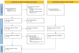 Assessing Theory of Mind in bilinguals: A scoping review