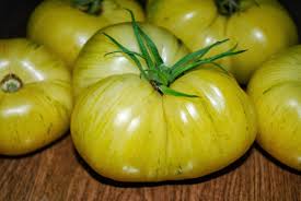 Check spelling or type a new query. Growing The Pineapple Pig Tomato The Patchwork Tree