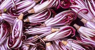 Mezze penne con radicchio trevisano tardivo e salsiccia. Radicchio Tardivo Di Treviso Kochgenossen