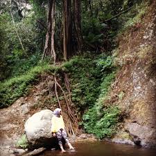Dolo Waterfall Kediri East Java Indonesia Beautiful