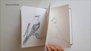 Garden Birds Sketchbook Wildlife Animals And Nature Pencil Drawings Paintingtube Learn how to draw simple nature pictures using these outlines or print just for coloring. garden birds sketchbook wildlife animals and nature pencil drawings