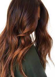 Hottest Brunette Hair Dye Option For You 2019 Trends Hair Styles Brown Hair Colors Hair