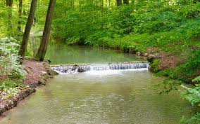 It is a very popular garden in my city, moga. The English Garden In Munich Why I Love This Park