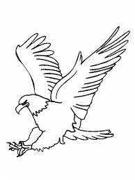 15 Biensur Aigle Dessin Facile Image Dessins Faciles Coloriage Vaiana Coloriage