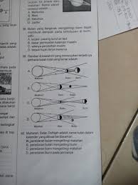Jun 10, 2021 · pembiasan cahaya adalah pembelokan cahaya ketika berkas cahaya melewati bidang batas medium yang berbeda indeks biasanya (pradana, 2010). Gambar Dibawah Ini Yang Menunjukan Terjadinya Gerhana Bulan Total Yang Benar Adalah Brainly Co Id