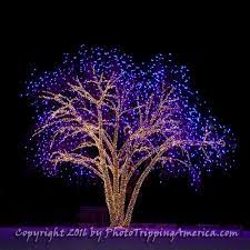 Christmas Tree Christmas Lights Holiday Lights Holiday Tree Christmas Art Magenta Cottonwood Photo On Canvas Photo On Metallic Paper In 2021 Outdoor Christmas Lights Purple Christmas Lights Holiday Lights