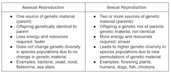 This is because they share genetic information with both of them. Reproduce Asexual And Sexual Characteristics Of Life Expii