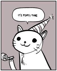 Party Cat Know Your Meme