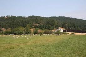 We grow over twenty apple varieties throughout the months of september and october. Farm Job Metchosin Bc Parry Bay Sheep Farm Young Agrarians