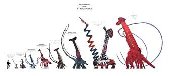 Image result for Pygmaeothamnus