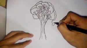 Letak pohon yang anda gambar. Tips Tes Psikologi Tes Gambar Pohon Psikotes Psychological Test Tips Test Tree Images Youtube