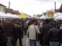 Prezentare târg apicol câmpinaiulian bobocea. Linia De Extractie Integrala Alpha Plus Thomas Targ Apicol Campina 2014 Youtube