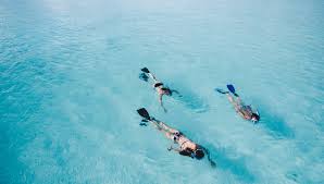 Image result for swimming