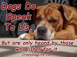 Do Your Dogs Speak To You Prince Usually Tells Me He Is Hungry And Nadie Always Tells Me She Wants To Go For A Walk What Do Your Do Dogs Crazy