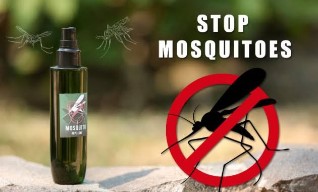 6 Home Remedies To Keep Mosquitoes At Bay - Tata 1mg Capsules
