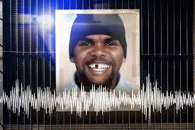 Flinders University researchers identify three new species of extinct  kangaroo