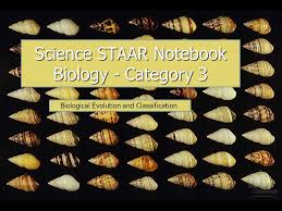 Staar biology test practice questions. Science Staar Notebook Biology Category 3 Ppt Download