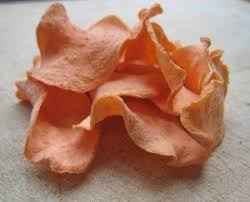 Comment Secher Fruits Et Legumes Avec Un Deshydrateur Chips De Patate Douce Recettes De Cuisine Deshydrateur Alimentaire