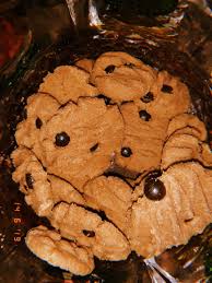 Cookies Makanan Kolase Foto