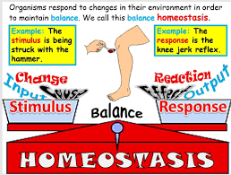 Homeostasis Life Science Lessons Health Science How Are You Feeling