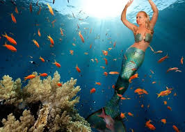 Image result for real mermaid