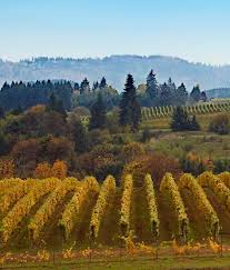 Mcminnville, or 2.3 miles w. About The Valley Willamette Valley Wineries