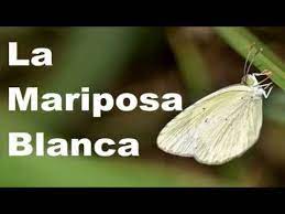 La Mariposa Blanca Leyenda Japonesa Youtube