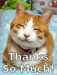 100 Thank You Memes Images And Funny Thanks Meme Pics Cats Funny Cats Thank You Cat Meme