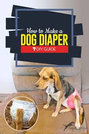 For this one, you only need a sanitary pad and a pair of children's boxer briefs. How To Make A Dog Diaper 3 Different Diy Methods Simple And Cheap