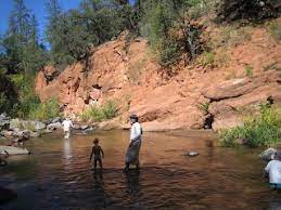 Manzanita Campground Camping Mama Sedona Camping Campground Camping