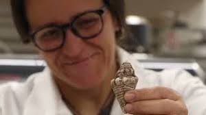 2021 Film Week: Intertidal Climate Change with Featured Researcher Isabel  Rivera-Collazo