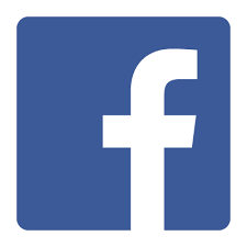 facebook-flat-vector-logo-400x400 - Violette Sauvage Italia