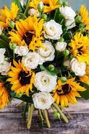 We did not find results for: 608 Bouquet Roses Sunflowers Photos Free Royalty Free Stock Photos From Dreamstime