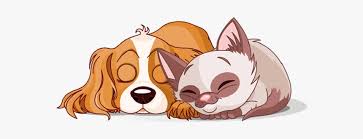 Check spelling or type a new query. Cute Cat And Dog Clipart Cat And Dog Animated Hd Png Download Transparent Png Image Pngitem