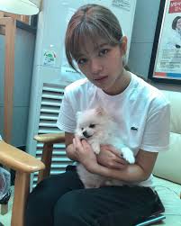 Name All The Dogs That Twice Had Twice Jungyeon Twice Nayeon