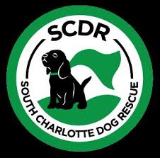 The greater charlotte spca does not own or operate a shelter facility. Pets For Adoption At South Charlotte Dog Rescue In Waxhaw Nc Petfinder