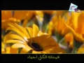تحميل انشودة سلاما ايها الماء Mp3 Mp4