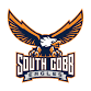 South Cobb Eagles vs Pebblebrook Falcons event image