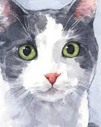 Katzen Portrat Kundenspezifische Aquarellmalerei 57 Katten 5x7 Aquarel In 2020 Watercolor Cat Cat Painting Cat Art