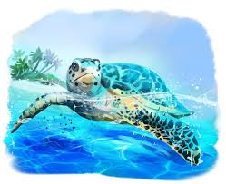 Select from 35970 printable crafts of cartoons, nature, animals, bible and many more. Sea Turtle Stock Illustrations 17 571 Sea Turtle Stock Illustrations Vectors Clipart Dreamstime